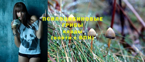 герыч Алексин
