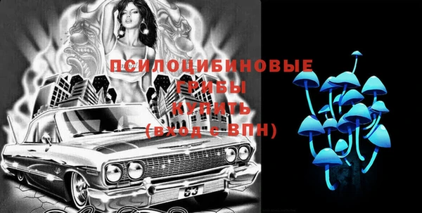 герыч Алексин