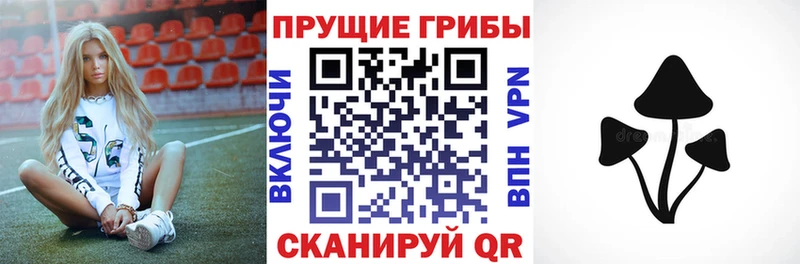 Псилоцибиновые грибы мухоморы  Кызыл 